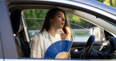 auto calda sole