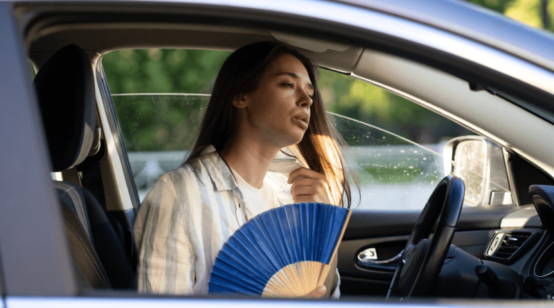 auto calda sole