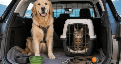 viaggiare con amico a quattro zampe